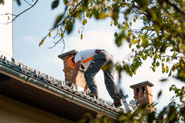 Best Commercial Roofing Services  in Montgomery, WV