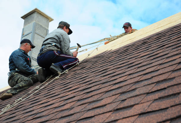 Best Shingle Roofing Installation  in Montgomery, WV